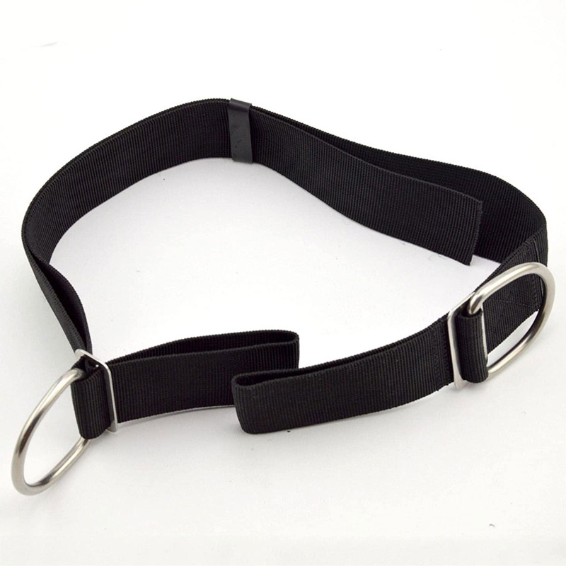 Cinghia per cavallo da immersi - Tech Gear Accessories recensione e prezzo